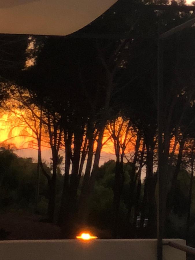 Ilenia Seaview Διαμέρισμα Cefalù Εξωτερικό φωτογραφία
